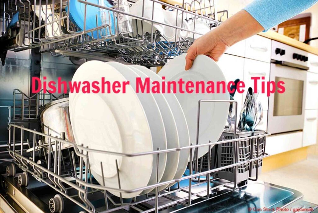 Why Does My Dishwasher Smell Bad Odor Removal Tips for Dubai Residents (1)